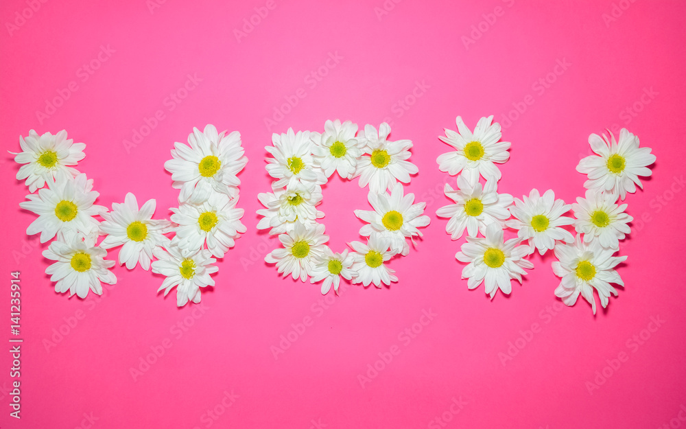 Word Wow created with white Gerberas flowers