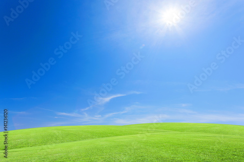 Green grass field with blue sky white cloud background.