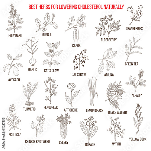 Best medicinal herbs for lowering cholesterol