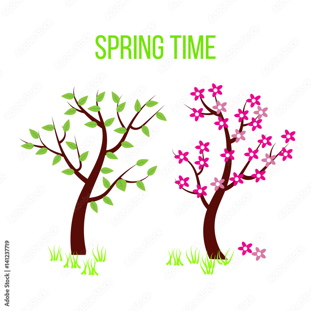 Obraz premium Spring time tree composition with flowers and leaves