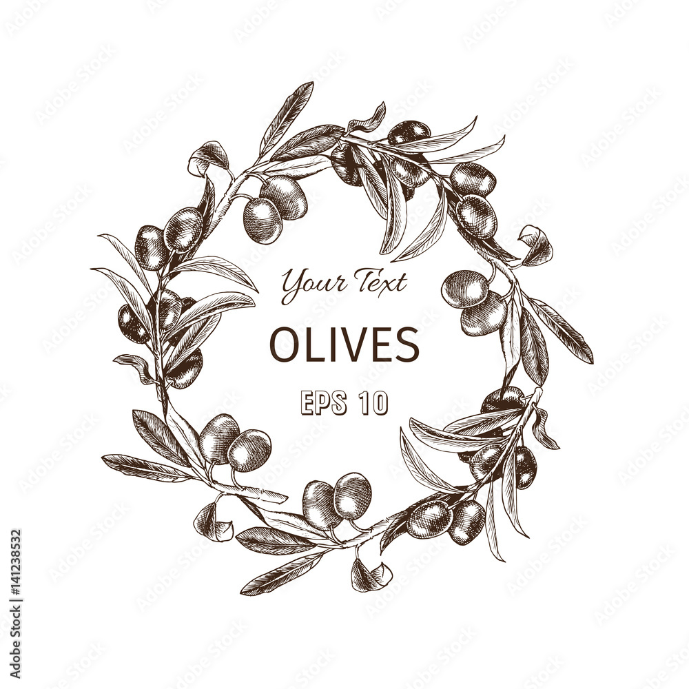 Olive branch wreath. Vintage card design with hand drawn olive tree ...