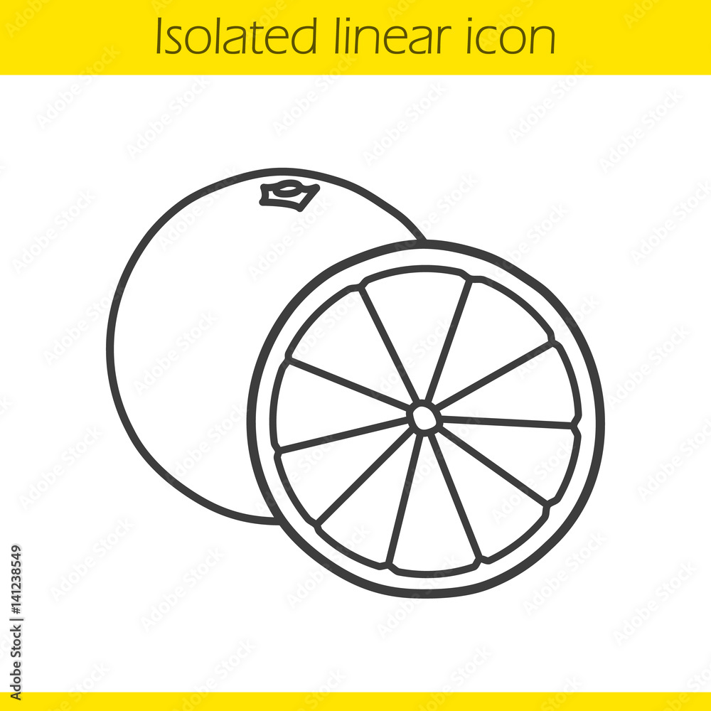 Orange fruit linear icon