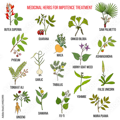 Best herbs for impotence treatment