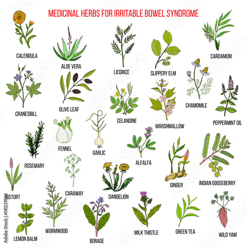 Best herbs for irritable bowel syndrome IBS 