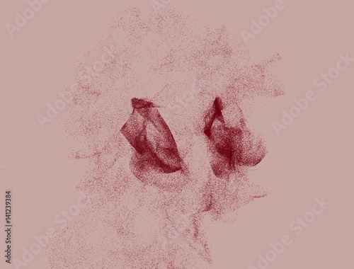 Insieme di punti che si trasformano in una testa umana