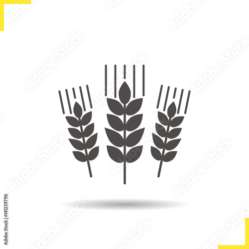 Wheat ears icon
