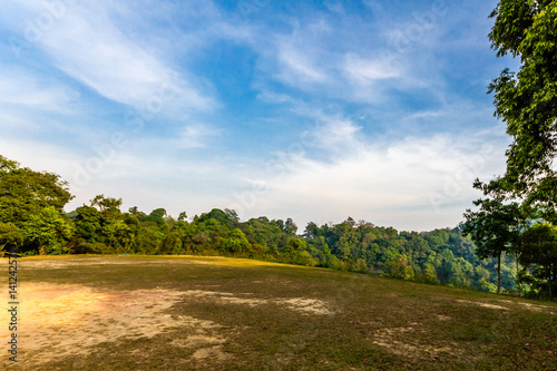 Blue sky on Hill Forest