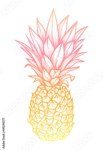 Hand drawn vector illustration - Pineapple. Exotic tropical fruit. Sketch. Outline. Perfect for tattooing, invitations, greeting cards, blogs, posters etc.
