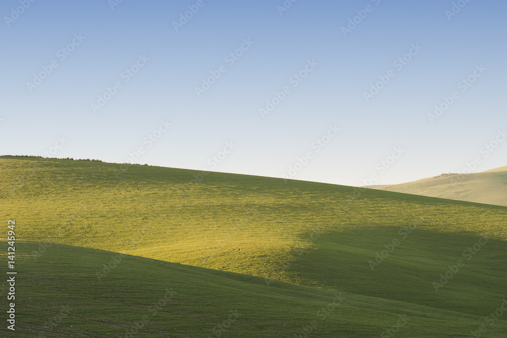 Spring landscape with fresh green grass