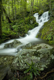 Cascade, Tremont, Great Smoky Mountains NP