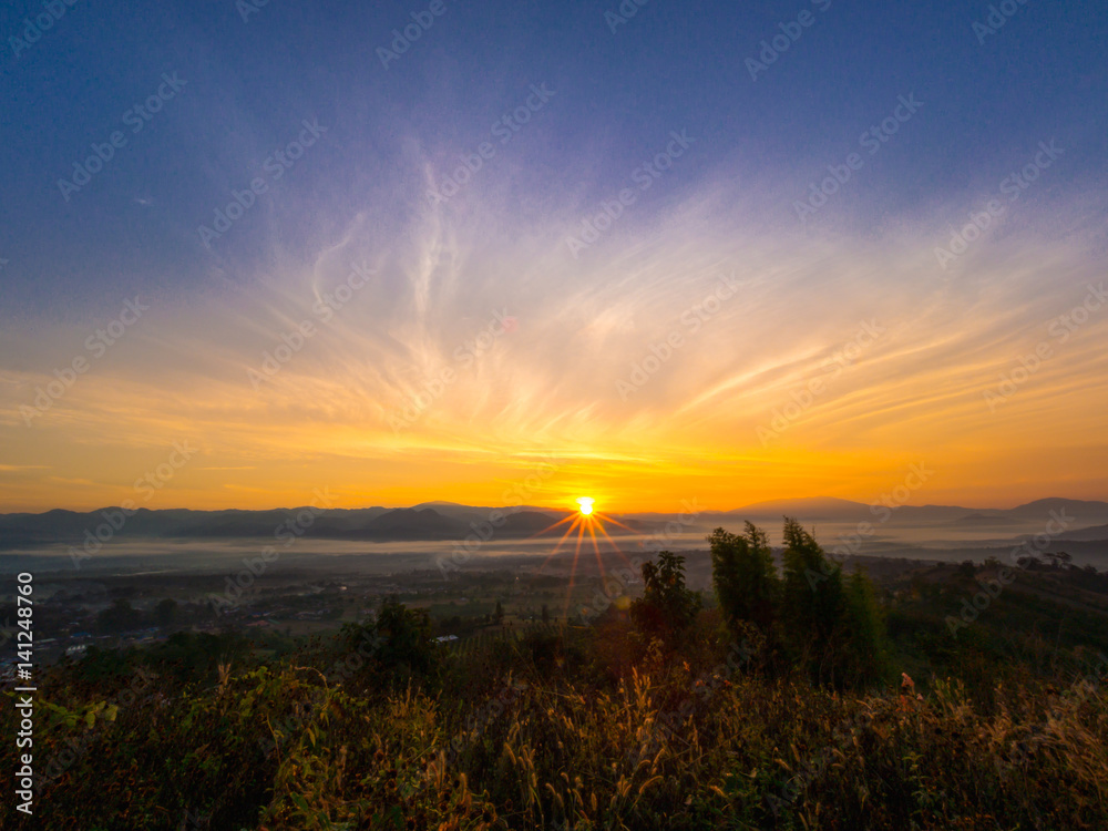 Obraz premium Nature background