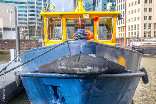 Rotterdam old maritim harbour photo