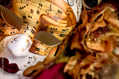 Venetian Carnival Mask