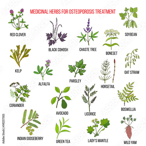 Best medicinal herbs for osteoporosis