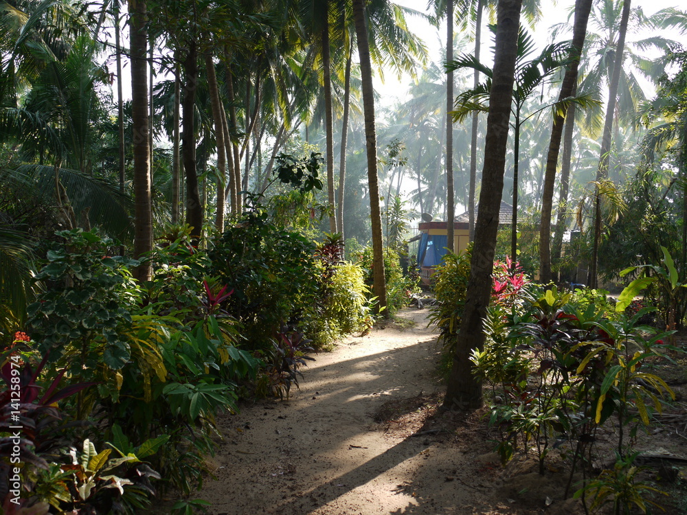 Coastal village, Goa Coastal village, Goa