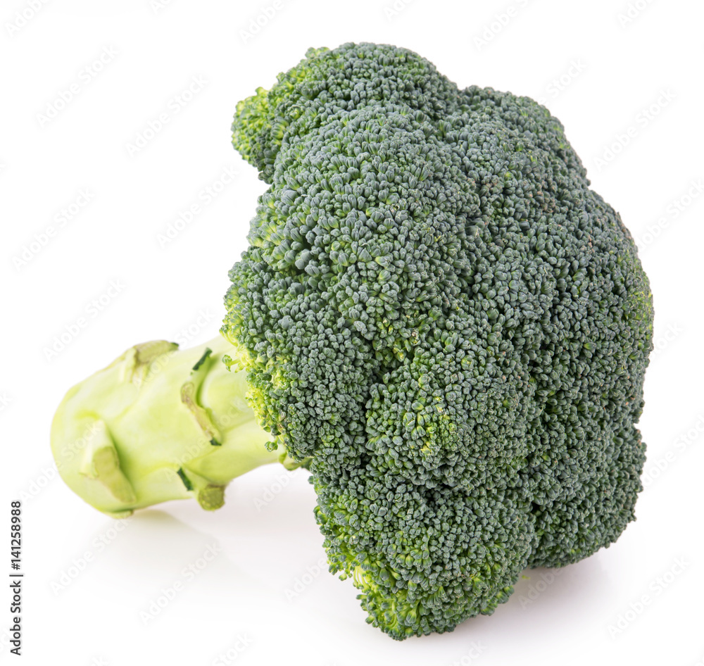 One broccoli close on a white background One broccoli close on a white background