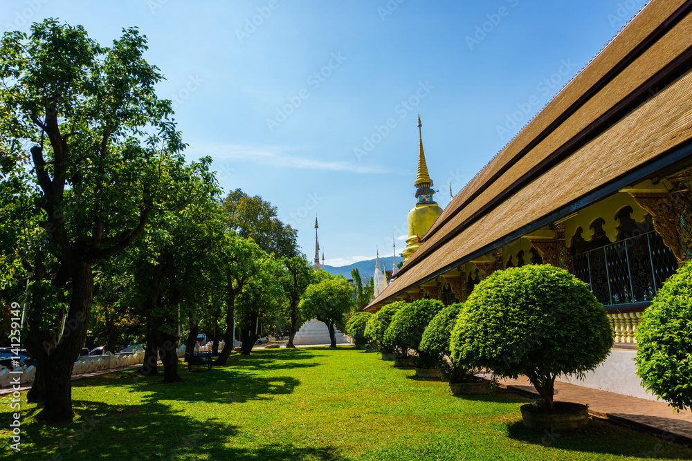 THAILAND,CHAINGMAI-Mar 12, 2017: suan dok temple. view of the garden/park in the temple