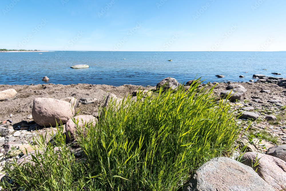 Baltic Sea coast in the summer