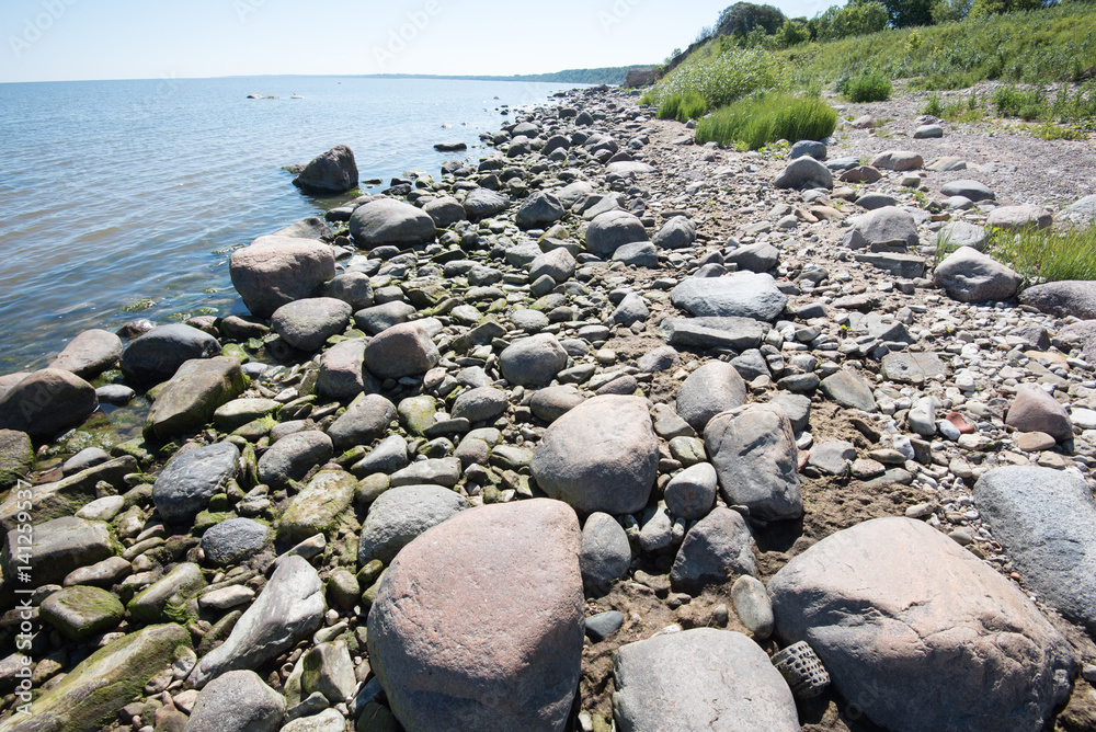 Baltic Sea coast in the summer