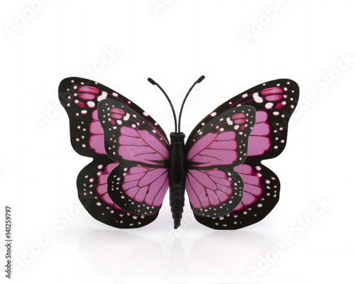 Beautiful pink with a black butterfly on a white background © Elena