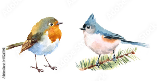 Murais de parede Northern Cardinal and Robin Two Birds Watercolor Hand Painted Illustration Set i