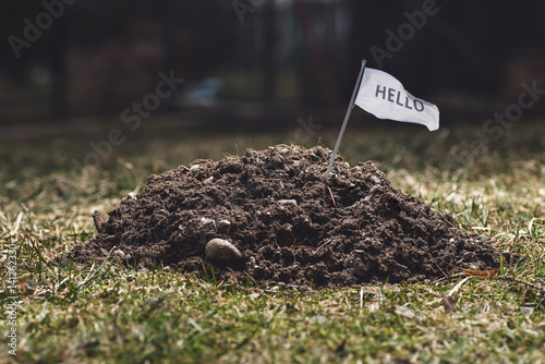 molehill in garden, animal activity in garden photo