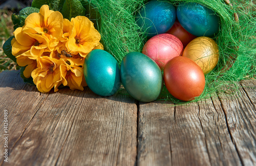 Easter eggs in nest on old wooden background with yellow flower