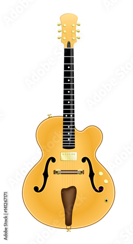 Custom Made Jazz Guitar. Vector Illustration of a Custom Made Hollow Body Jazz Guitar. No name, no Image trace. Isolated on White. 
