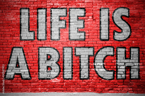 Life is a Bitch Ziegelsteinmauer Graffiti