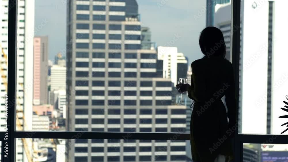 Silhouette of woman drinking wine and admire view from window, super slow motion 240fps
Silhouette of woman drinking wine and admire view from window, super slow motion 240fps