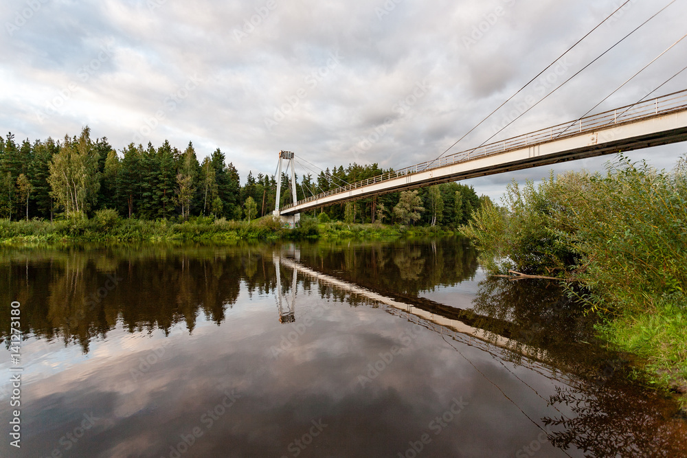 mountain river in summer surrounded by forest mountain river in summer surrounded by forest