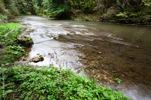 mountain river in summer surrounded by forest photo