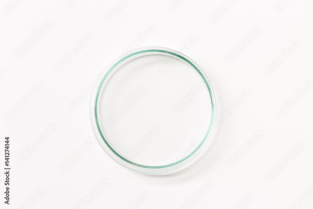 Empty petri dish Empty petri dish