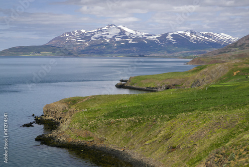Iceland - coastline landscape