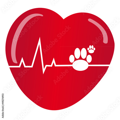 Dogs paw with heart on white background