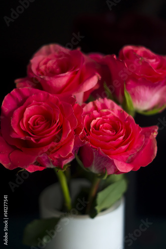 pink roses in a white vase on black background