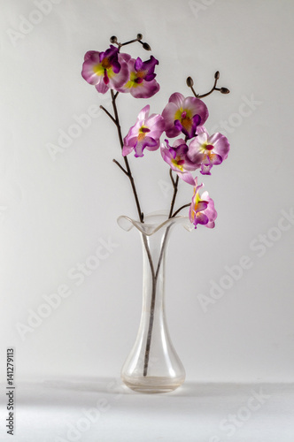 Jarrón con orquídeas