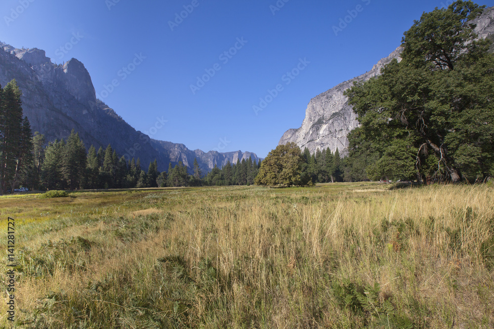 A view of Yosemite Valley floor