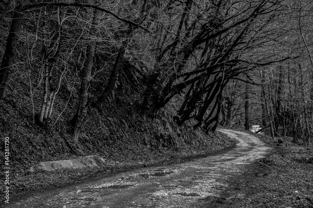 Fototapeta premium Road on the hill