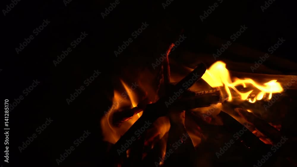 Burning wood. A bonfire in the night. Burning wood. A bonfire in the night.