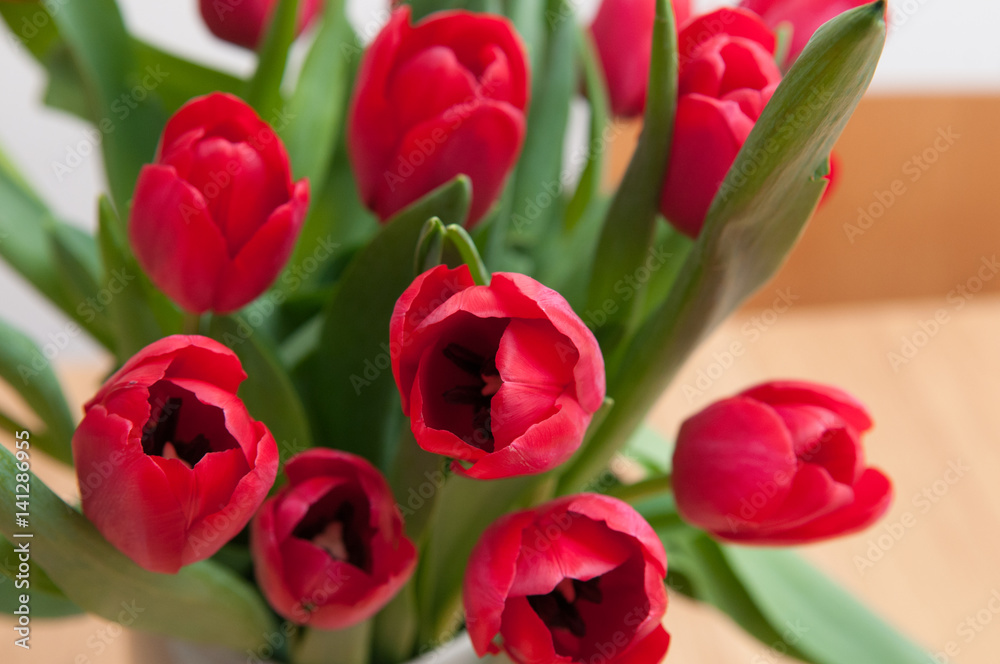 Seasonal red bouquet of tulip flowers in a vase