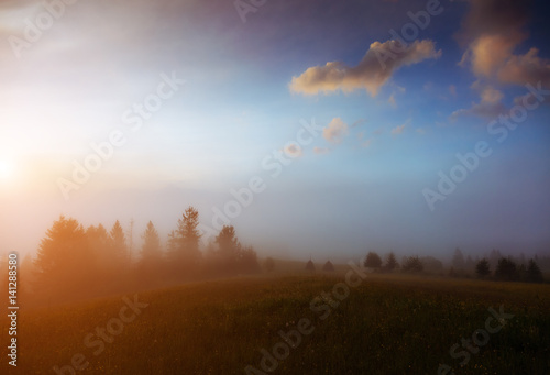 Fototapeta Naklejka Na Ścianę i Meble -  picturesque morning scene