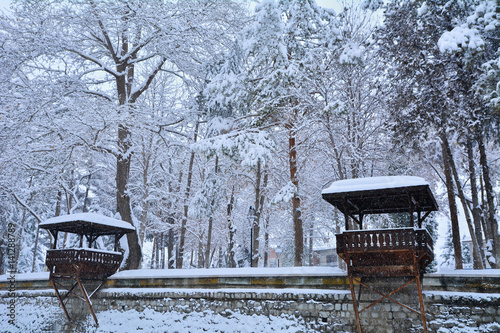 Ormanda kar manzarası photo