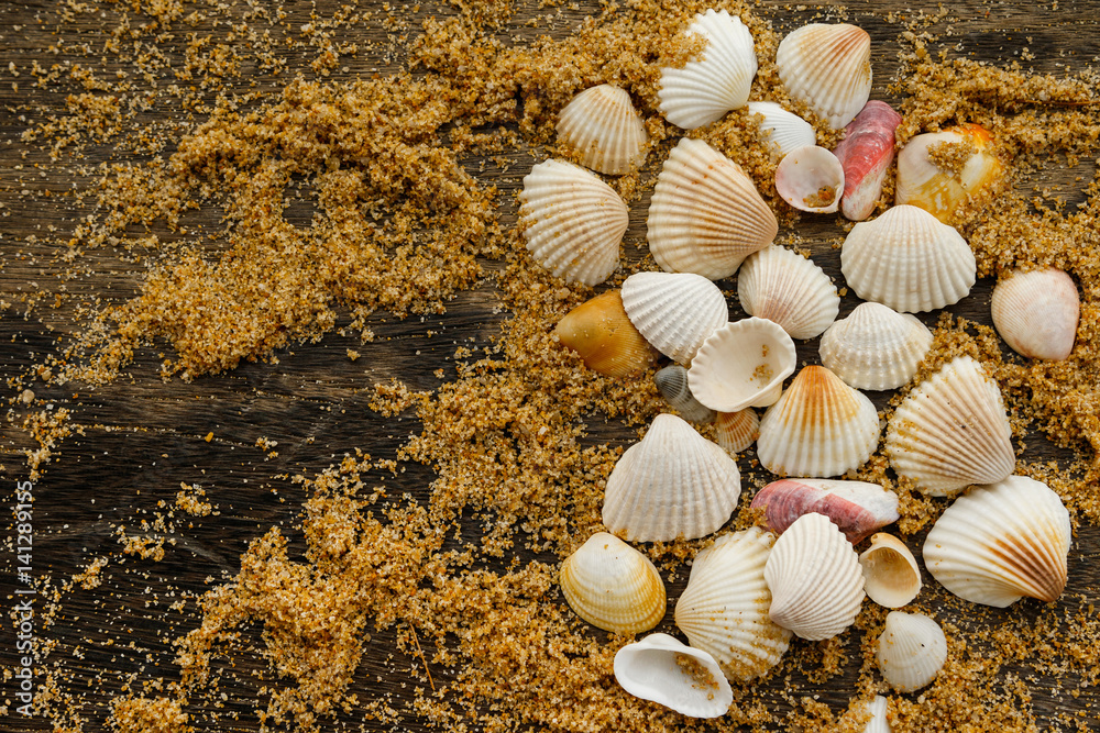 Fototapeta premium Different seashells and sand
