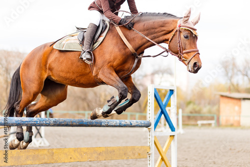 Sorrel horse with rider girl jump over hurdle on show jumping competition © skumer
