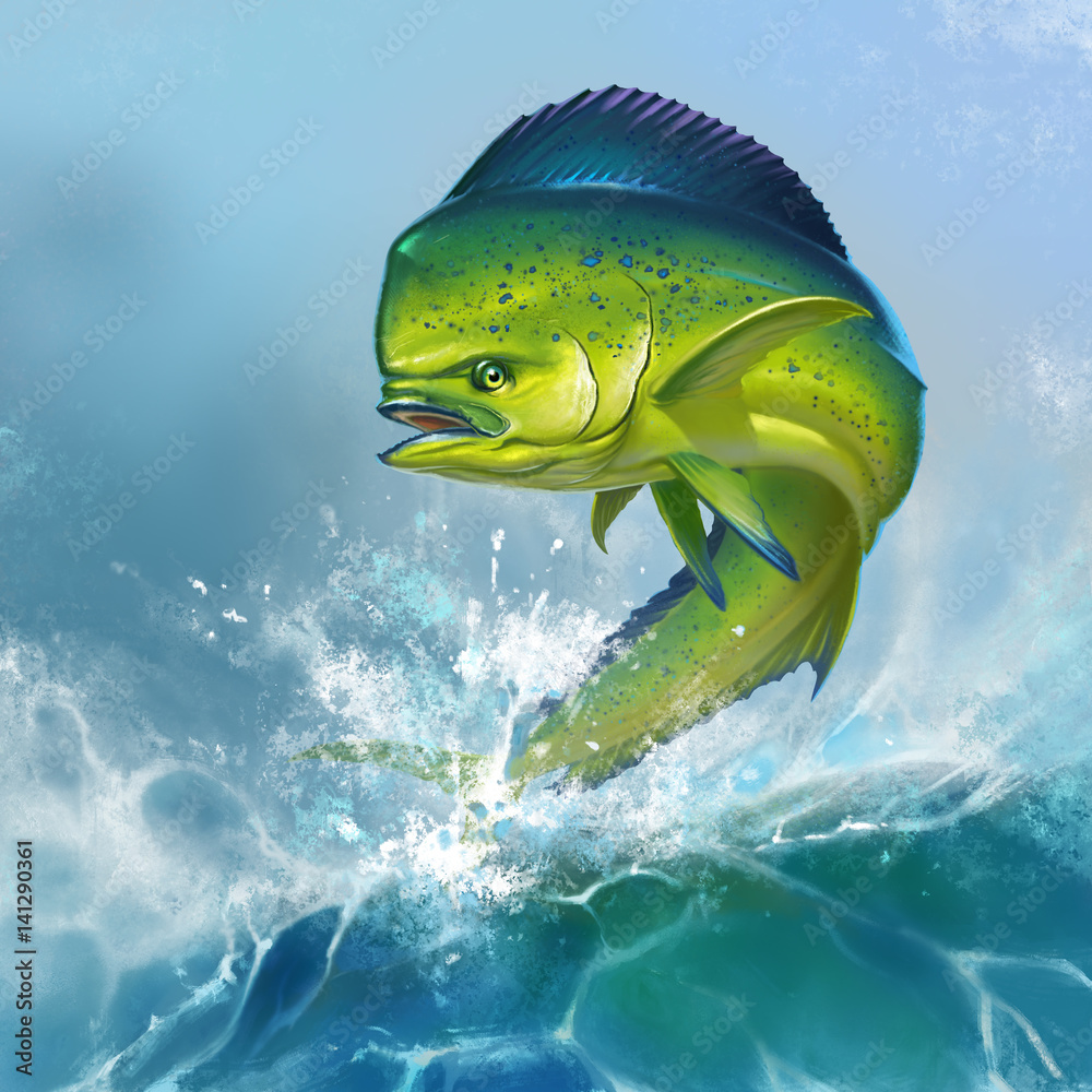 Fototapeta premium Mahi mahi or dolphin fish on background