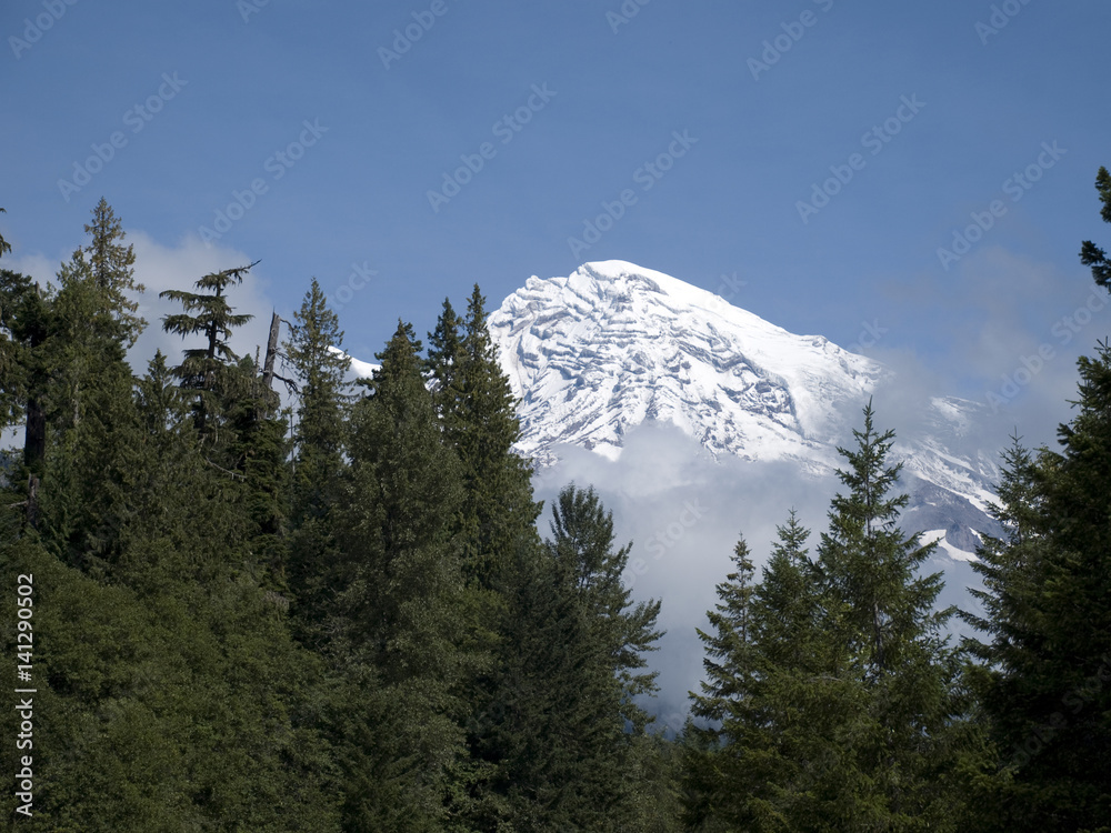 Mountain Behind the Trees