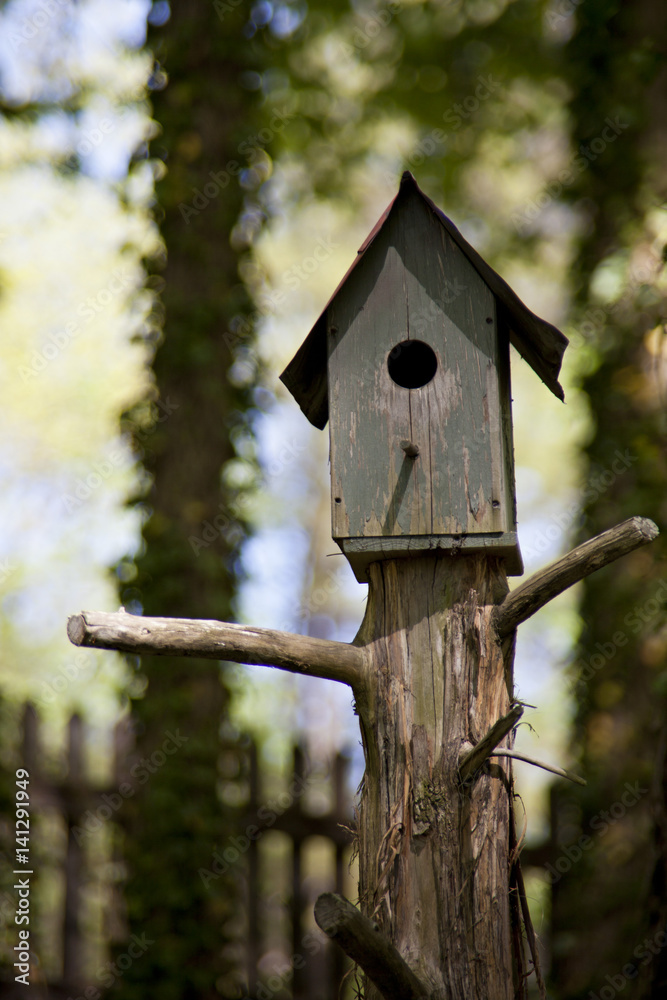 Simple, rustic bird house and unique wood tree post. Simple, rustic bird house and unique wood tree post.