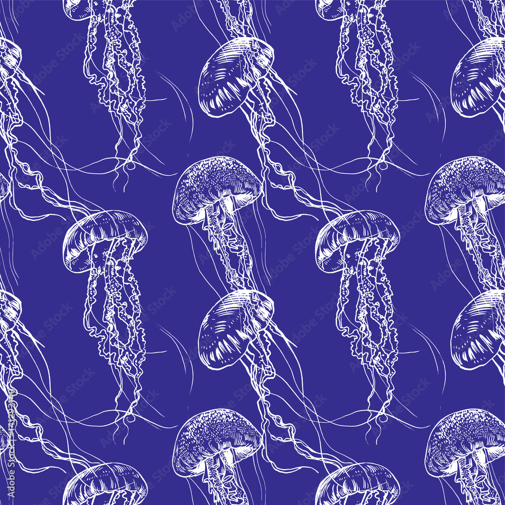 Fototapeta premium Vector illustration jellyfish. Painted by hand.