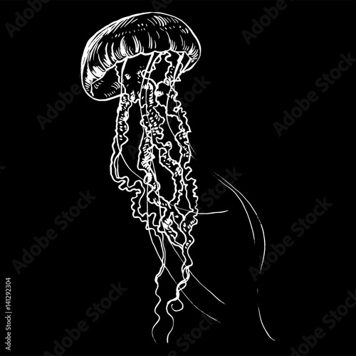Vector illustration jellyfish. Painted by hand.